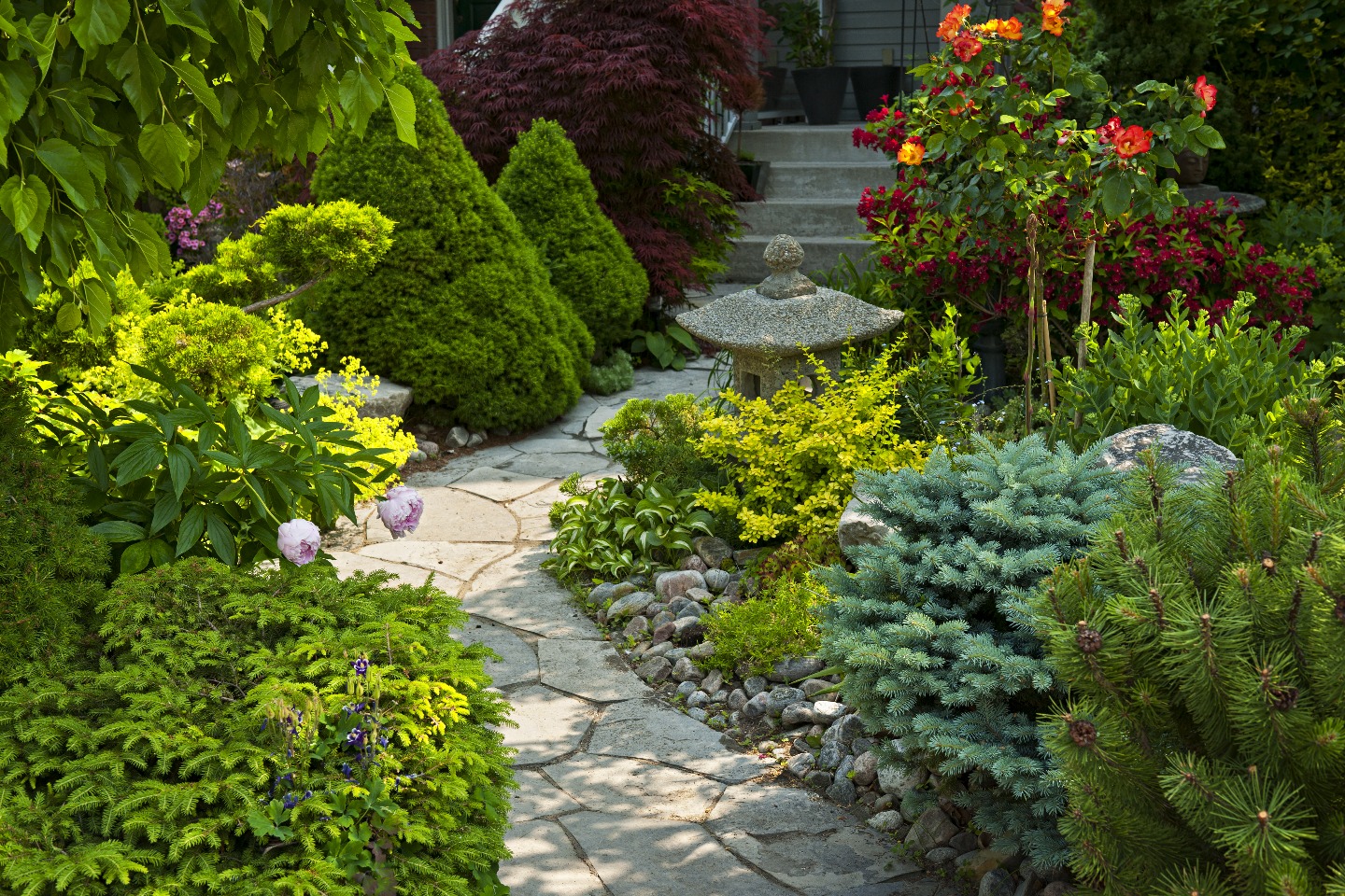 Landscape project — manicured lawn and shrubs