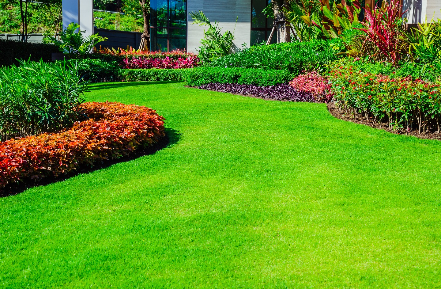 Landscape project — colorful flower garden