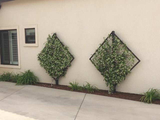 Landscape project — garden bed installation