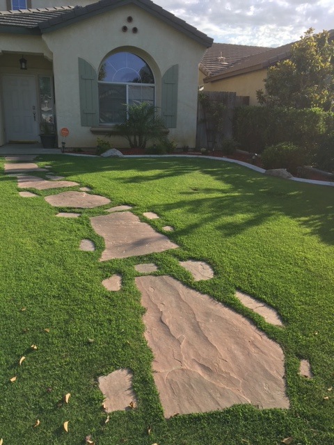 Landscape project — completed yard makeover